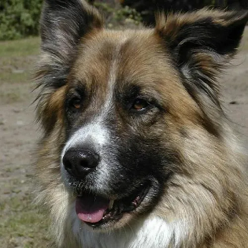 Underwater hotel experiences