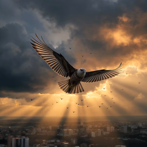 Eagle