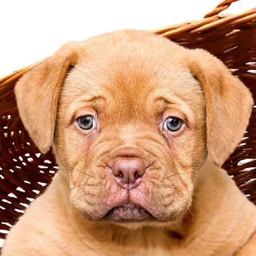 Sustainability awareness