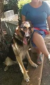 Future technology advancements