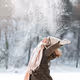 SOMNIA WINTER