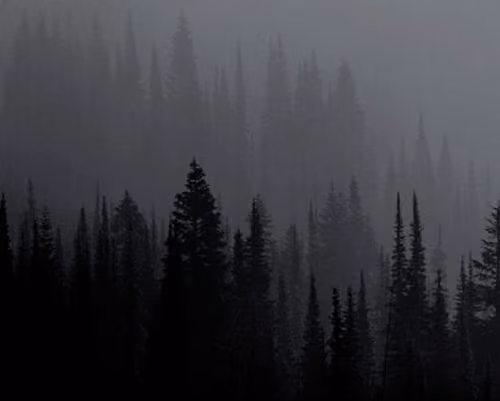 forestt