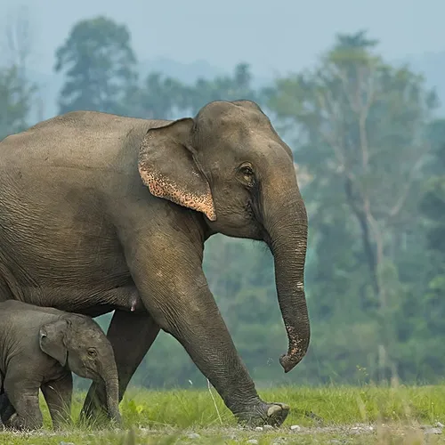 Aerial perspectives captured