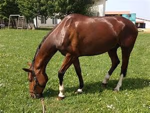 Digital nomad lifestyle