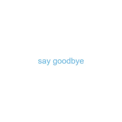 say goodbye