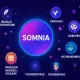 Somnia