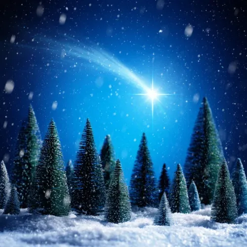 Tales of a Somniac Winter