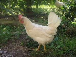 Mind-body harmony journeys