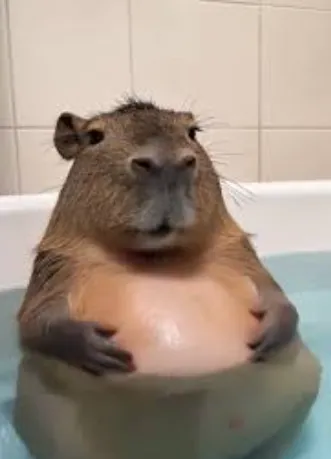 capybara
