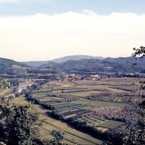 Weather Wizz / Abbr: WZRD / Description: Ever wanted to own a piece of the sky? Weather Wizz lets yo