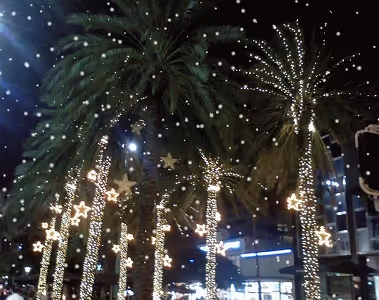 Snowy palm trees