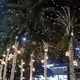 Snowy palm trees