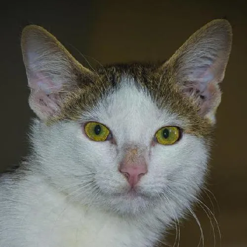 Motorcycle road trips