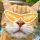 Seesign