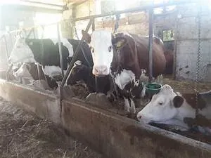 Lost empires unraveling