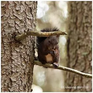 Time-traveling adventures