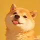 ryr