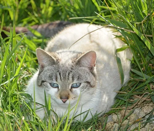 Hidden treasure hunt