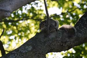 Mindfulness meditation practice