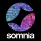 stay with somnia