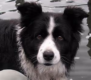 Cross-country road trips