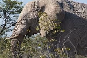 Future tech innovations