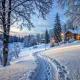 Somniac Winter