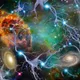 NeuroGuardians