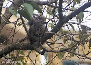 Holistic rejuvenation escapes