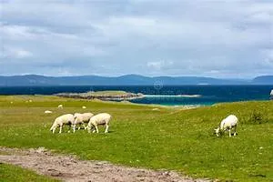 Wealth management insights