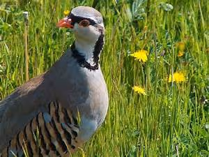 Spa and wellness retreats