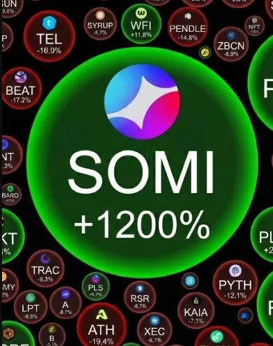Somi2026