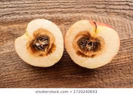 Inclusive communities building