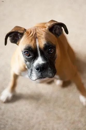 Sustainable living practices