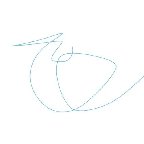 dfgvb