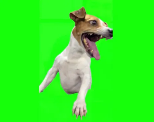 kumijiii