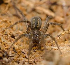 Ancient ruins exploration