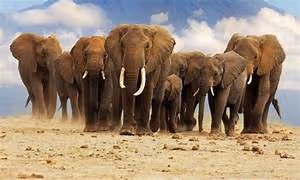 Breaking societal barriers