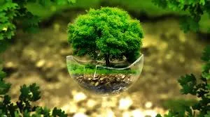 Tree of life