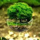 Tree of life