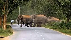 Pirate adventures at sea