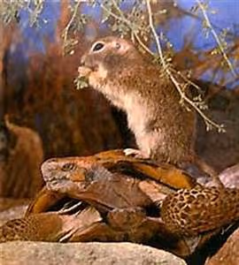 Spiritual pilgrimage journeys