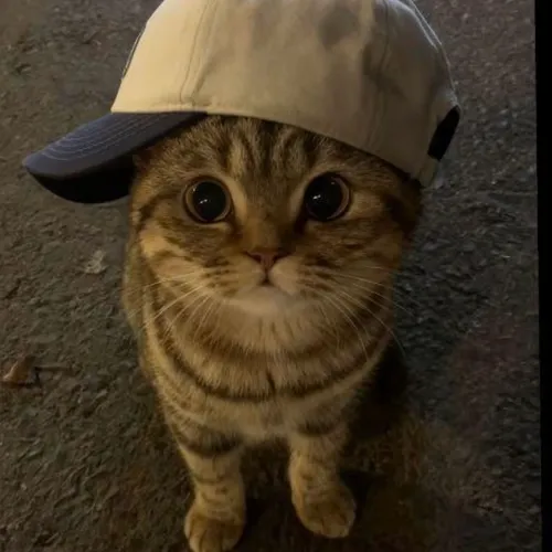 NeuroGuardians World