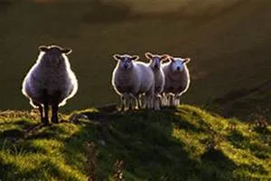 Structural design wonders