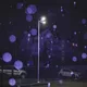 dsaf