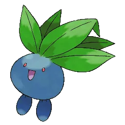 Bungee jumping adventures