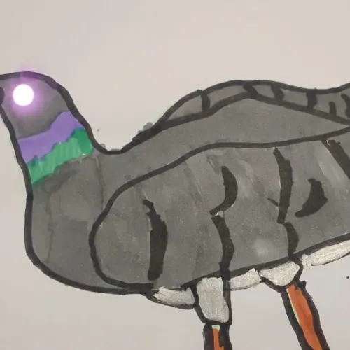 SomiBird