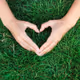 somnia heart