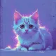 coolcat