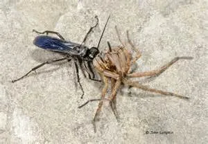 Innovative learning approaches